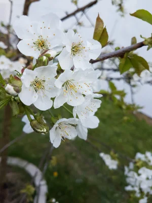 20170329_165550.jpg
