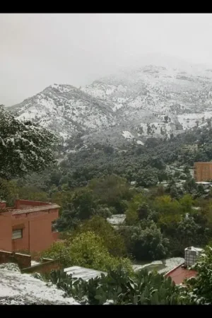 taghzout3.jpg