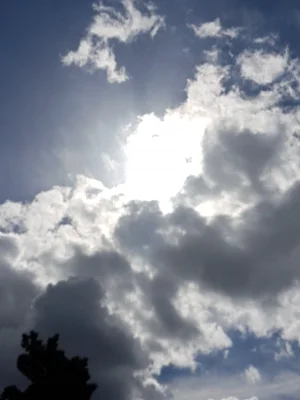 20170401_160138.jpg