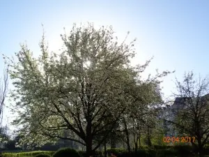 621.JPG