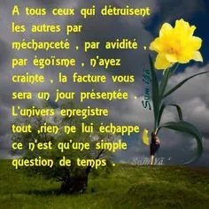 785fcbc2dcc5cdbc2246973b7e4cda74.jpg