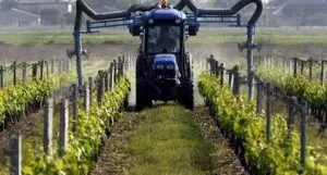 pesticides.jpg