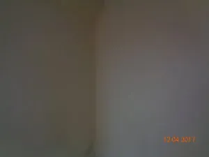 015.JPG