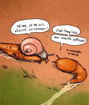 limasquee.jpg