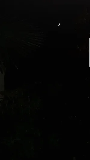 Screenshot_20170429-224110.png