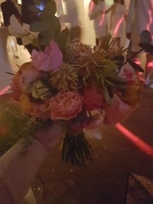 20170430_013136.jpg