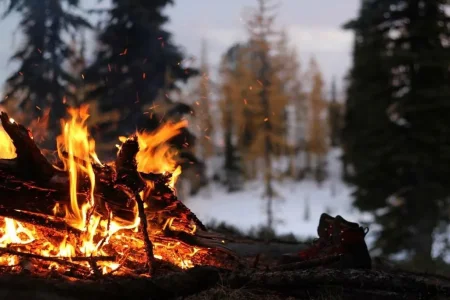 feu-camp-foret-fin-hiver.jpg