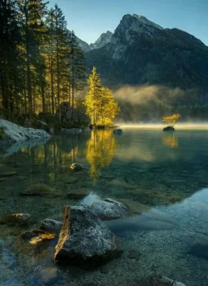 paysage-romantique.jpg