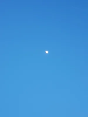 20170505_213130.jpg
