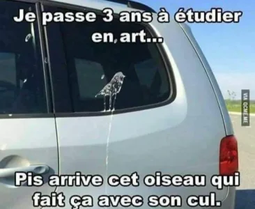 FB_IMG_1494622432242.jpg
