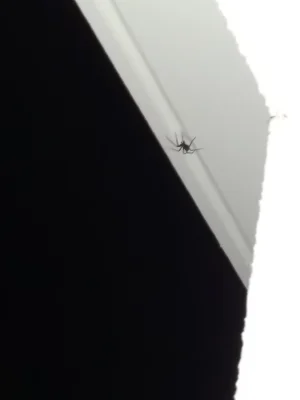 20170517_232733.jpg