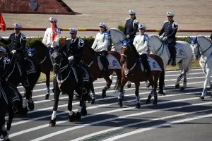 police5.jpg