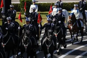 police15.jpg