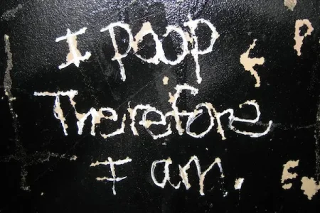 20080702205236_i_poop.jpg