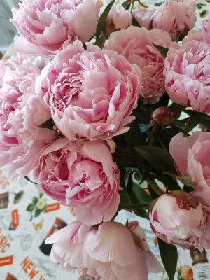 20170525_112817.jpg