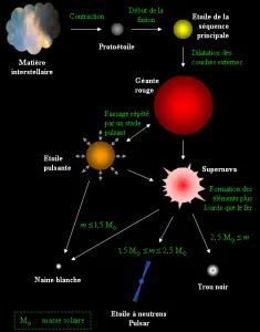 cycle-de-vie-et-mort-d-une-etoile.png