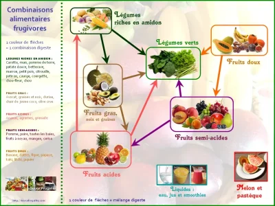 combinaisons-alimentaires-frugivores.png