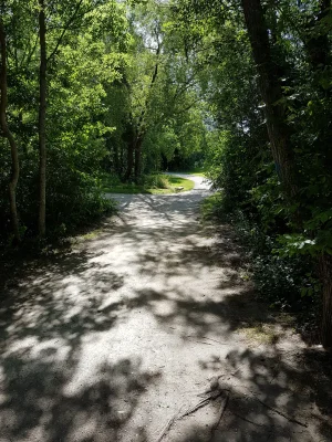 20170608_102445.jpg