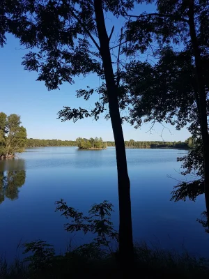 20170610_200257.jpg