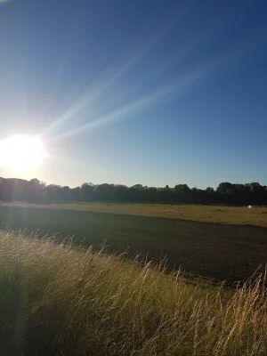 20170610_204347.jpg