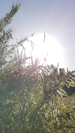 Screenshot_20170611-013554.png