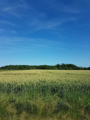 20170617_161157.jpg