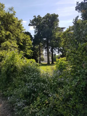 20170617_161406.jpg