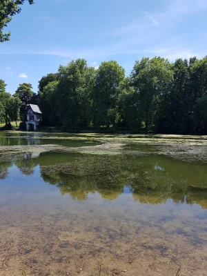 20170617_151048.jpg
