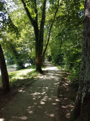 20170617_150110.jpg