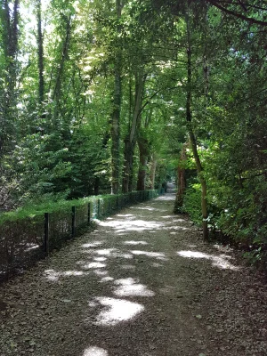 20170617_152937.jpg