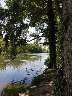 20170617_150422.jpg
