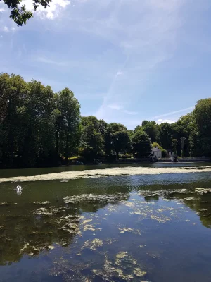 20170617_145625.jpg
