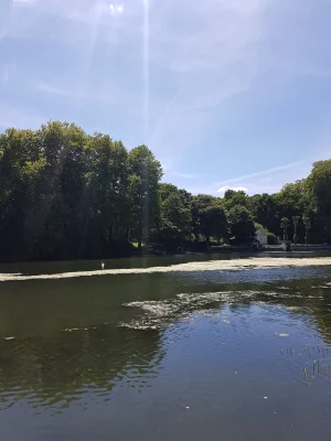 20170617_145541.jpg
