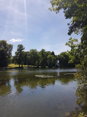 20170617_150336.jpg