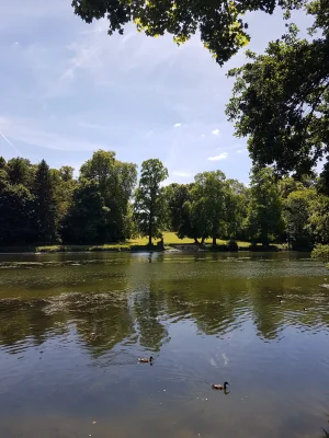 20170617_150451.jpg