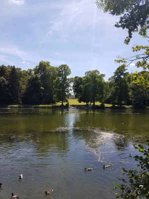 20170617_150650.jpg