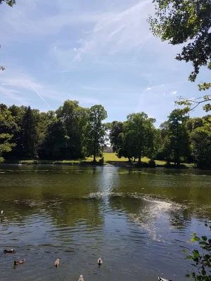 20170617_150526.jpg