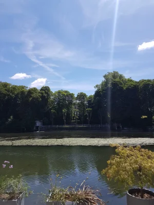 20170617_145158.jpg