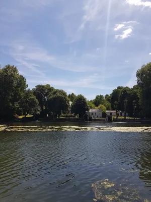 20170617_145927.jpg