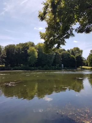 20170617_150210.jpg