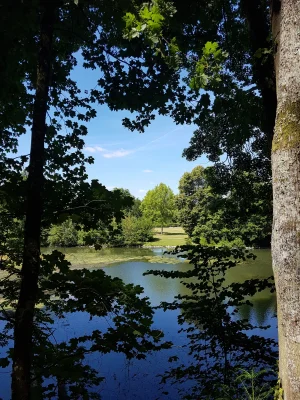 20170617_153256.jpg