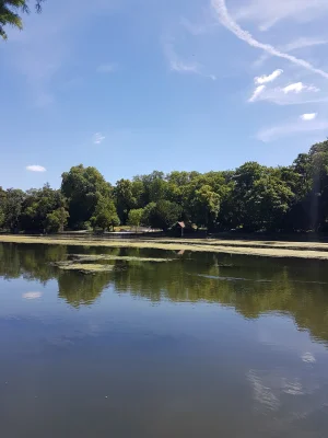 20170617_144308.jpg
