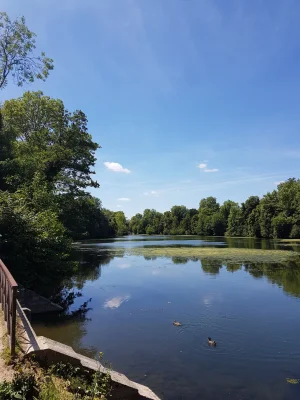20170617_151253.jpg