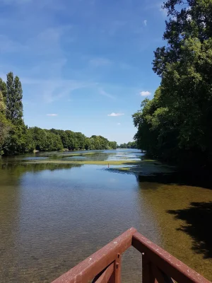 20170617_152035.jpg