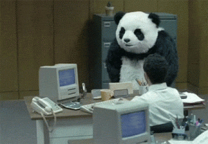 panda-casse-bureau.gif