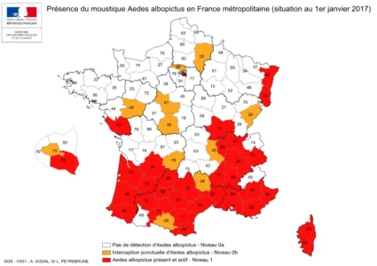 moustique-tigre_aedes_albopictus_metropole_1er_janvier_2017-Ministère-Solidarités-Santé-758x536.png