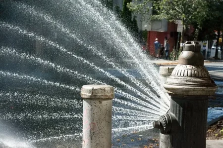 image2.jpg