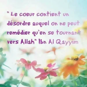 en désordre.jpg