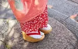 Unknown.jpeg