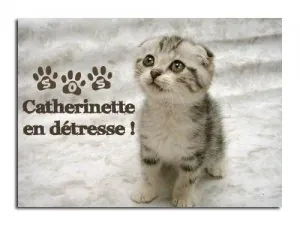 catherinette-en-detresse.jpg